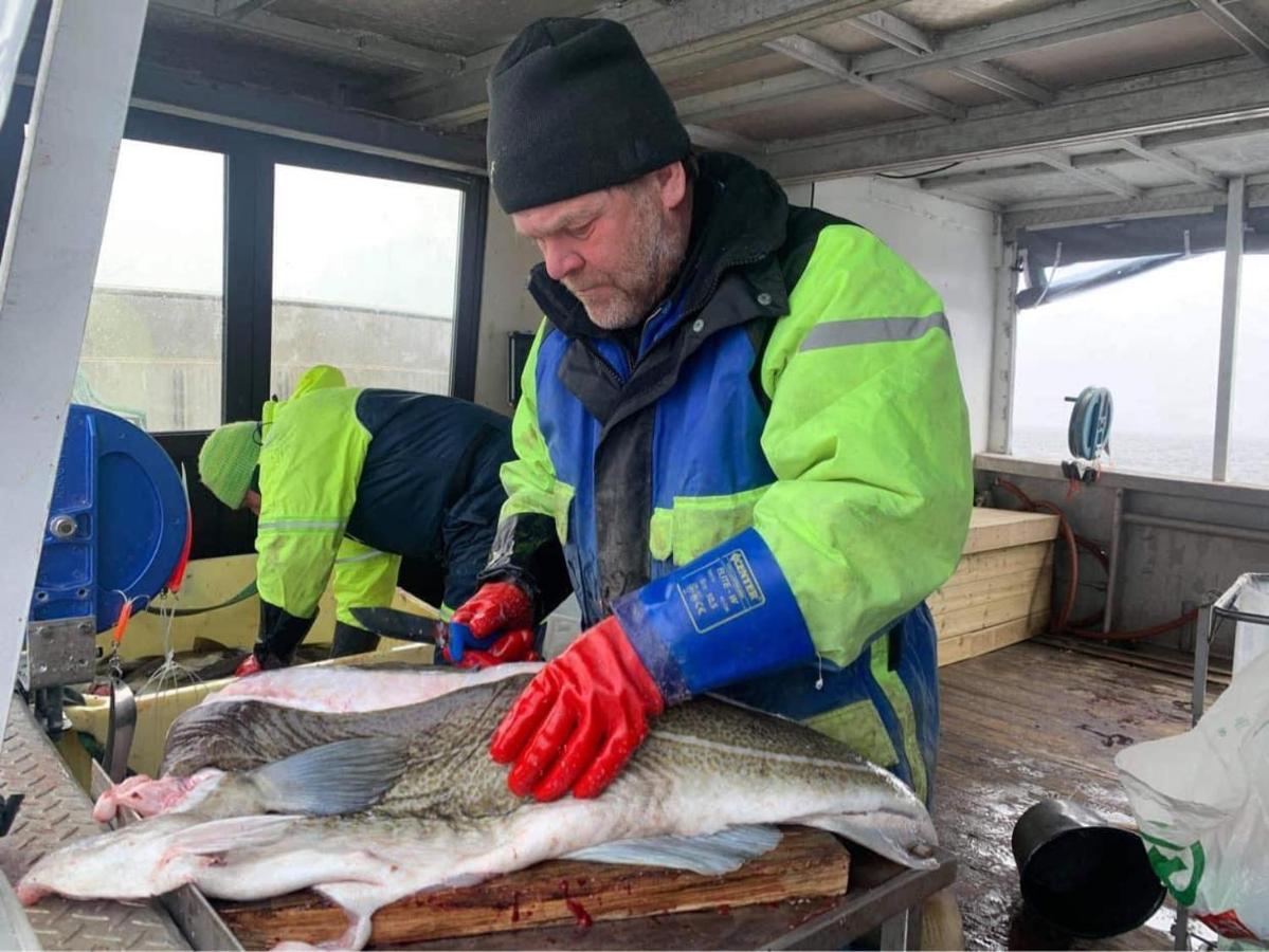Risvaer Brygger Panzió Digermulen Kültér fotó