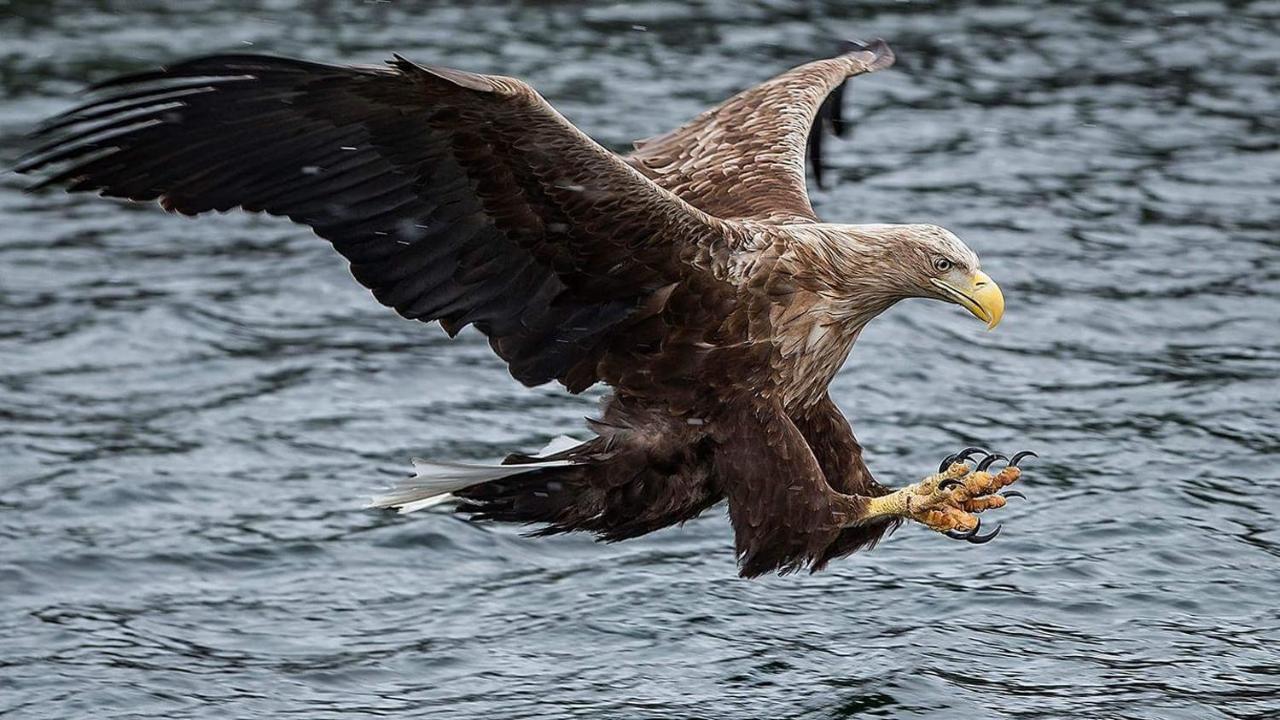 Risvaer Brygger Panzió Digermulen Kültér fotó